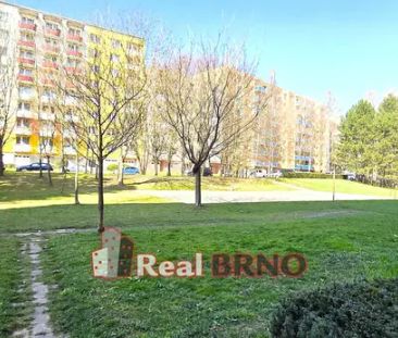 Pronájem bytu 1+1 33 m - Fotografie 6