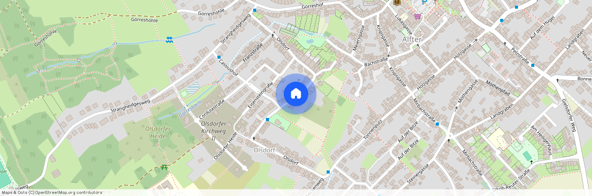 53347 Nordrhein-Westfalen - Alfter