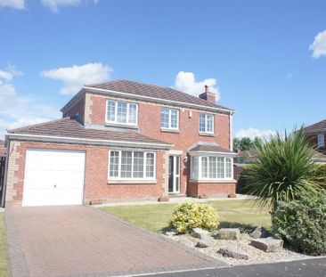 3 bedroom detached house to rent - Photo 3