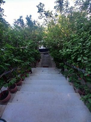 Studio/Γκαρσονιέρα για ενοικίαση Κέντρο (Ρίο) - Φωτογραφία 1