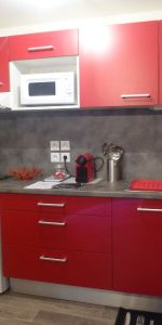 Location Appartement 1 pièce 29m² LE PUY EN VELAY 43000 - Photo 3