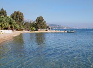 Μονοκατοικία για ενοικίαση - Νέα Πέραμος (Μεγάλο Πεύκο), - Photo 2