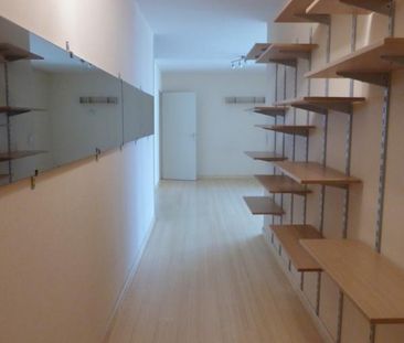 Location Appartement Clermont-Ferrand - Photo 1
