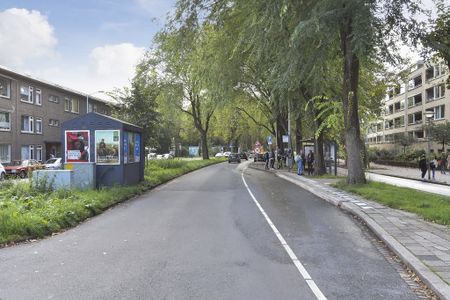 Appartement te huur: Thorbeckelaan 334-D 2564 BZ Den Haag - Photo 3