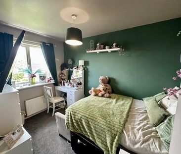 Fir Trees Close, Nelson - Photo 3