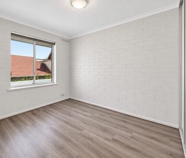 Easy Living in the Heart of Semaphore - Photo 6