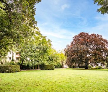 Single-Living Nähe Schloßstrasse - Photo 3