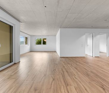 First-time rental: Large areas, living with plenty of space - Photo 4