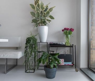Te huur: Appartement Andreasplein in Amsterdam - foto 2