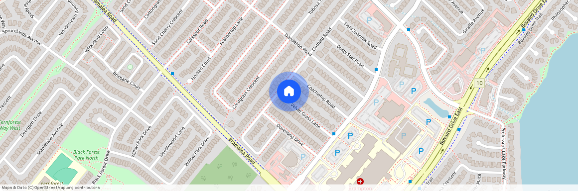 55 Velvet Grass Lane Unit# A, Brampton