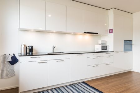 3.5 Zimmerwohnung - grosse Attikawohnung mit herrlicher Aussicht über Basel - Foto 5