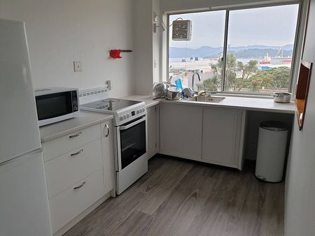 Peaceful 1BR Apt with Harbour Views in Thorndon - Photo 2