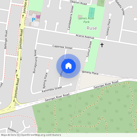 4 Lambie Place, Ruse 2560, New South Wales