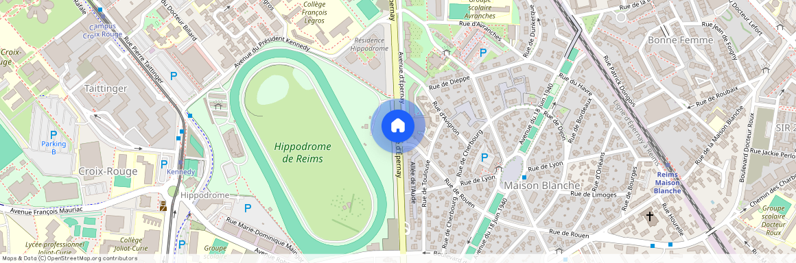 AVENUE D'EPERNAY, Reims