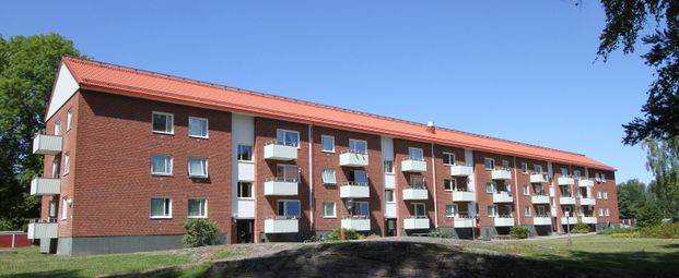 Sädesbingen 50 - Photo 1