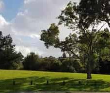 Pakuranga Heights, 3 bedrooms - Photo 1
