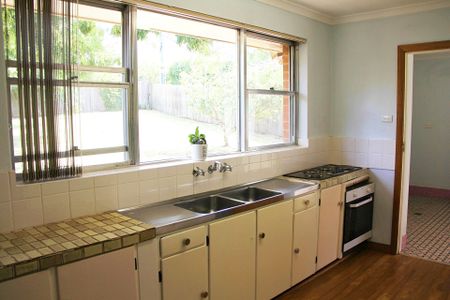 27 Haines Street, Curtin ACT 2605 - House For Rent | Domain - Photo 4