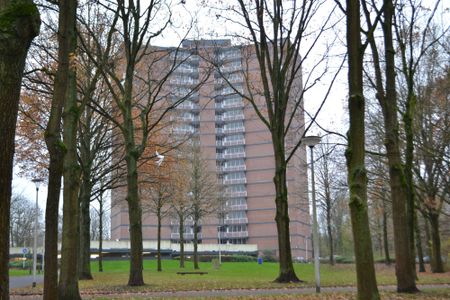 Appartement te huur Drieoortsput 123 Heerlen - Foto 2