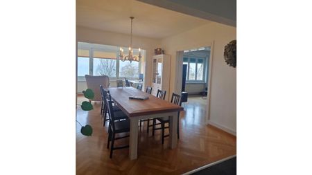 3½ Zimmer-Wohnung in Murten (FR), möbliert, auf Zeit - Photo 2