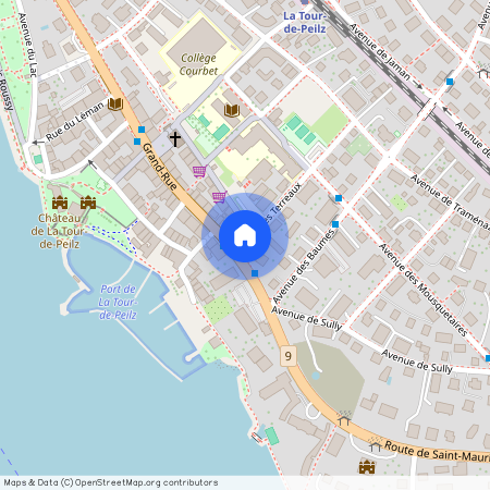 Rue des Terreaux 2, 1814 - LA TOUR-DE-PEILZ, Suisse