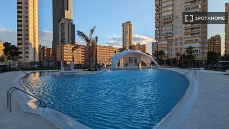2 room luxury Flat for rent in Benidorm, Spain - Photo 2