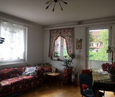 APPARTEMENT DE 4 PIÈCES À SCHAFFHOUSE, MEUBLÉ, TEMPORAIRE - Foto 3