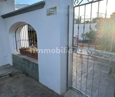 Villa unifamiliare via Provinciale Panza, Centro, Forio - Photo 3
