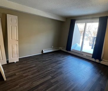 1 Bedroom Unit! Front And Back Patio Areas! In Suite Laundry! - Photo 3