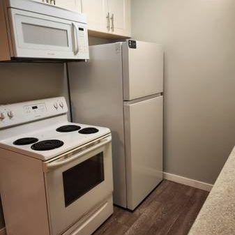 1 bedroom suite for rent - Photo 1