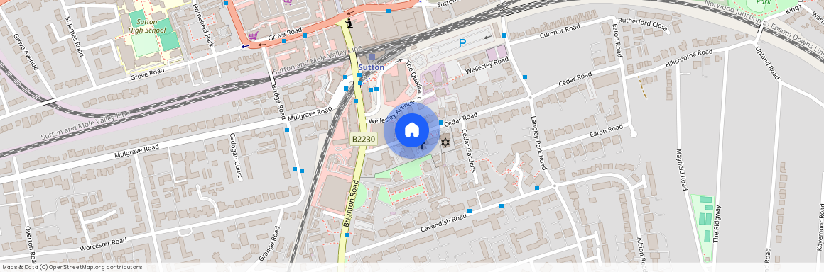 Forest Dene Court, Cedar Road, Sutton