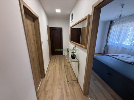 Kiadó új építésű lakás - Nyíregyháza - Fotó 2