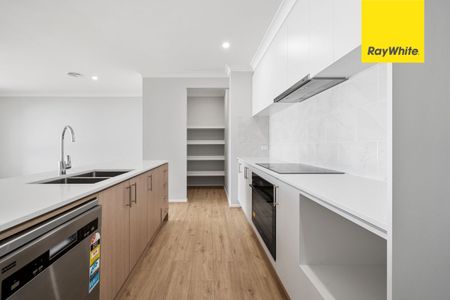 Brand New Family Home in Bungendore's Elm Estate - Photo 3