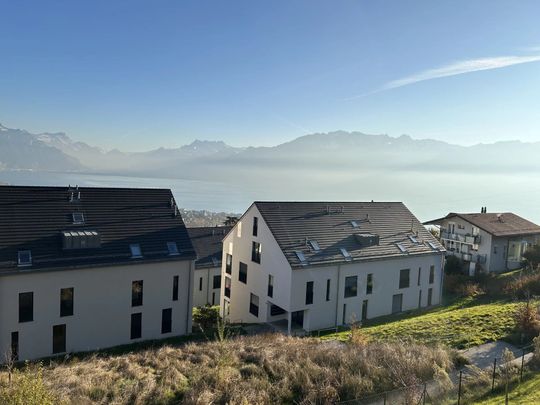 villa Vevey - Foto 1