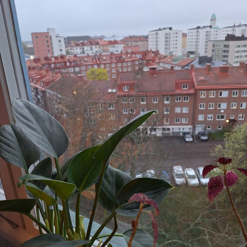 Tvärvägen, Solna - Foto 1