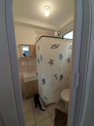 Apartamento com 2 quartos e 39m² para alugar em Campo Novo, Porto Alegre. - Photo 4