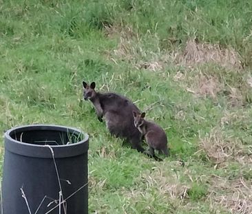 Belgrave South - Photo 4