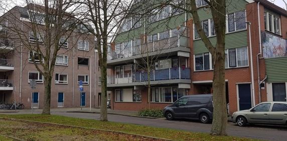 Opsterland 0ong, 3524 CJ Utrecht, Nederland - Photo 2