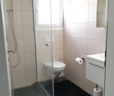Modernes 6.5-Zimmer-Einfamilienhaus in Emmenbrücke – mit Garten und... - Photo 5
