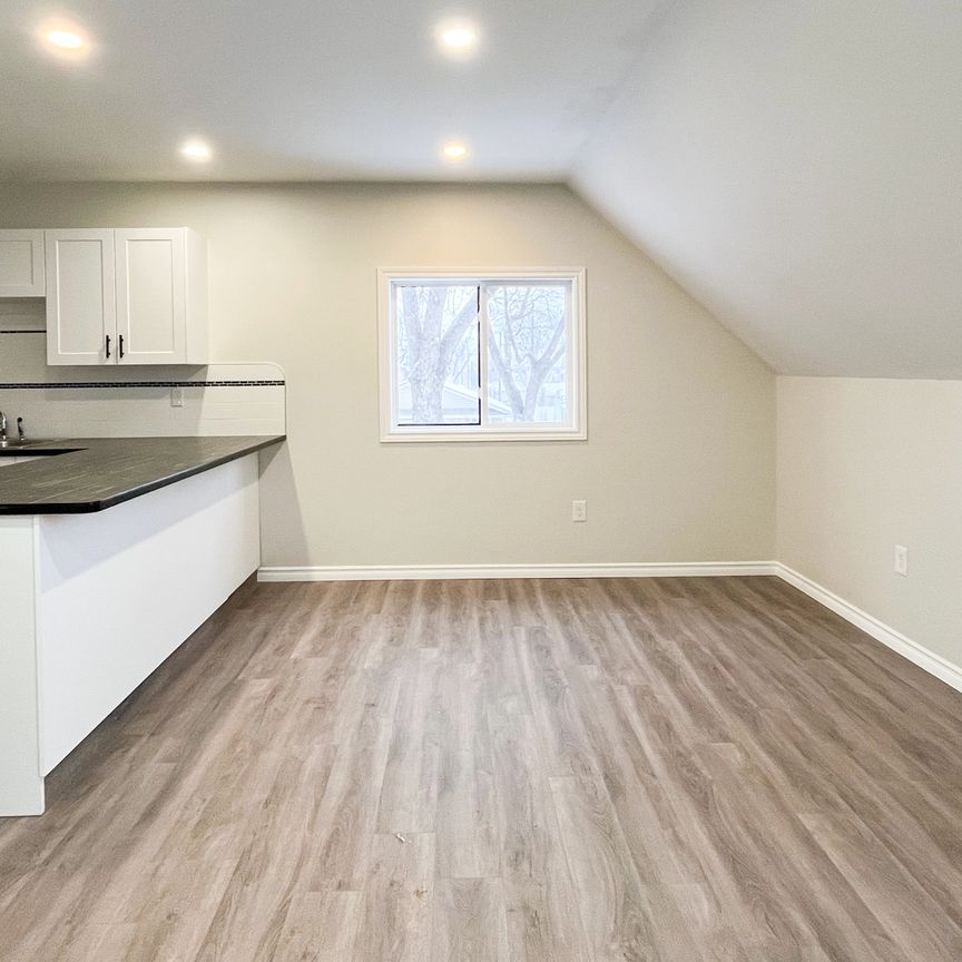 Fully Renovated 2 Bedroom Unit In Mc Cauley - Photo 1