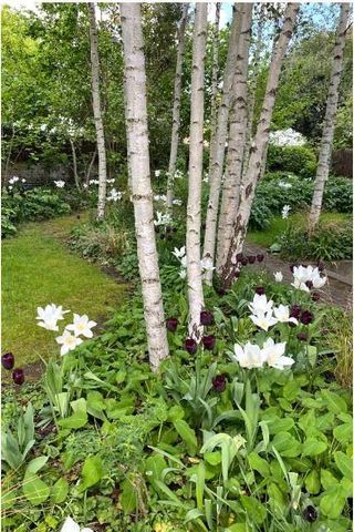 An unique opportunity to live in an architecturally designed house in Belsize Park. - Photo 2