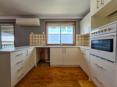 An Abundance of Natural Light - Photo 5