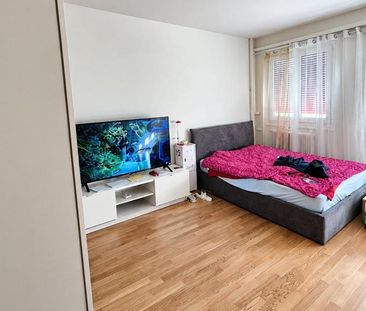 À saisir ! Splendide logement à deux pas de la Gare CFF de Cornavin ! - Foto 1