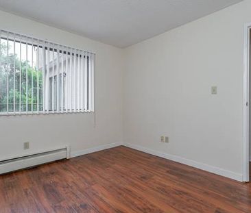 Beautiful studio available! -$1800 - Photo 2