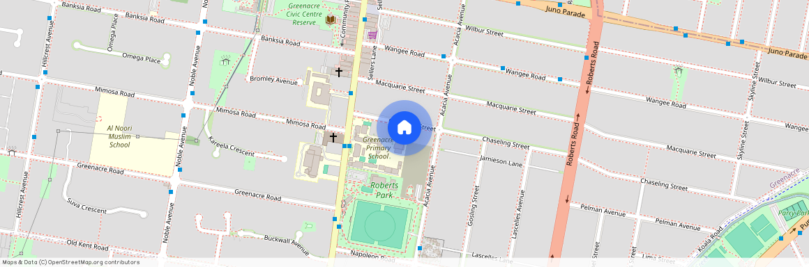 104 Chaseling Street, NSW 2190, Greenacre