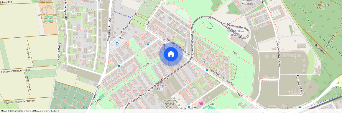 Thomas-Jefferson-Str. 57d, 68309 Mannheim