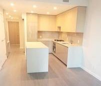 Junior 2 Bedroom+2Bathroom+Suite. Brand New. Great View. Must see!! - Photo 3