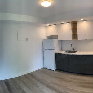 BEAU LOFT – CUISINE RÉNOVÉE – VILLERAY, MONTRÉAL - Photo 2