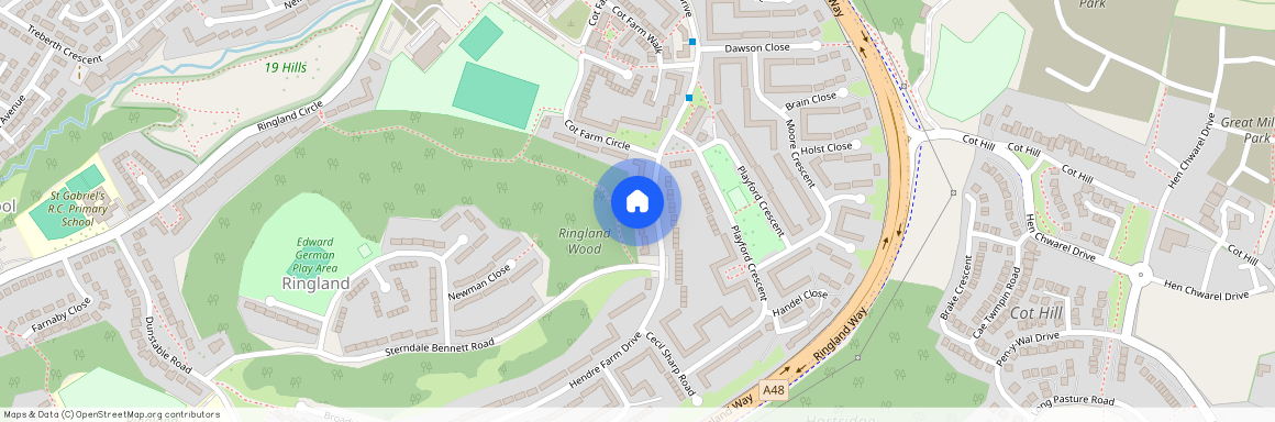 Hendre Farm Drive Newport NP19 9HT