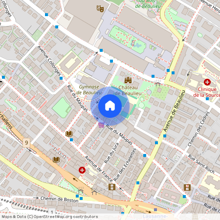 Rue du Maupas 42C, 1004 LAUSANNE