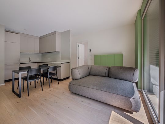 CHIASSO – NUOVA COSTRUZIONE CON GIARDINO - Photo 1